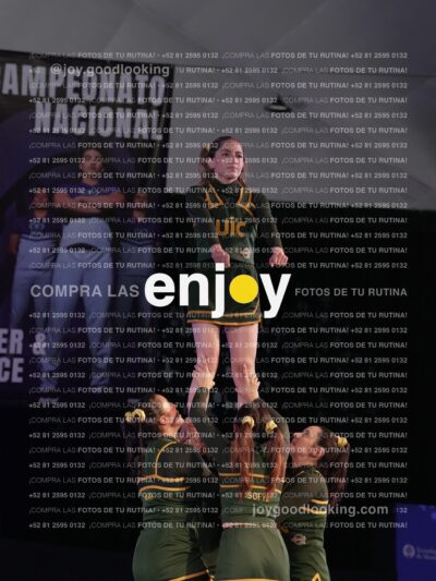 Uic0632