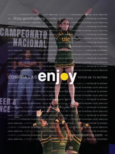 Uic0638