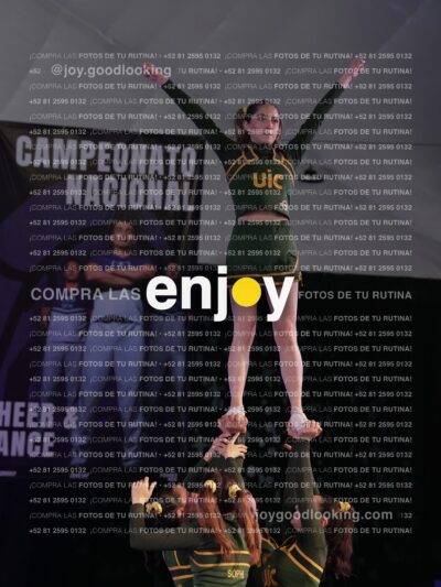 Uic0639