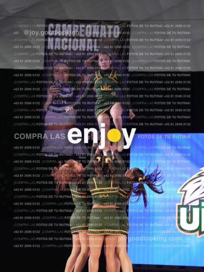 Uic0646