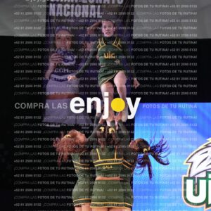 Uic0646