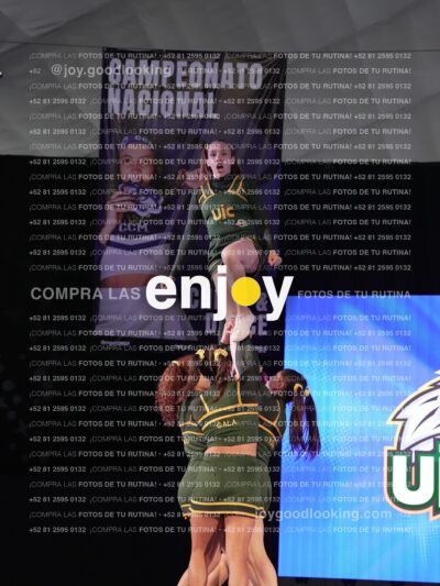 Uic0648