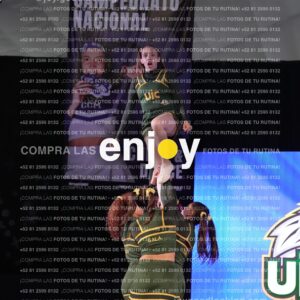 Uic0648