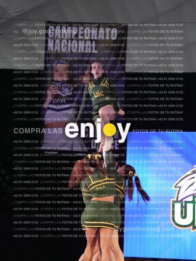 Uic0649