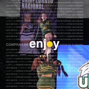 Uic0649