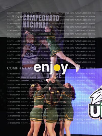 Uic0656