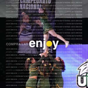 Uic0656
