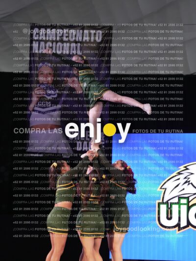 Uic0657