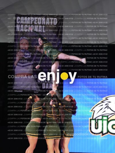 Uic0658