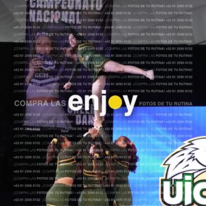 Uic0658