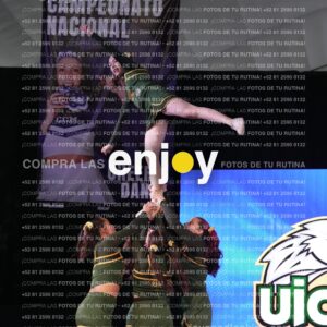 Uic0659