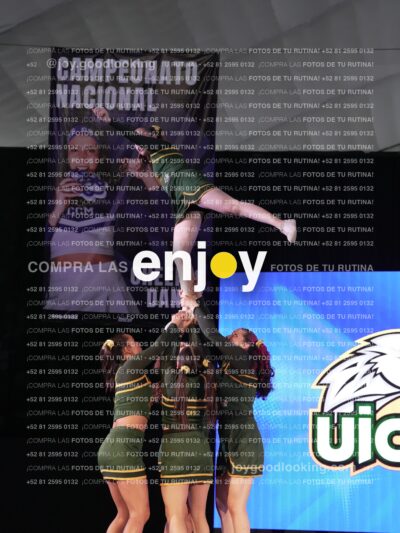 Uic0660