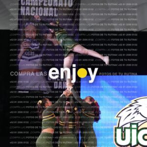 Uic0660