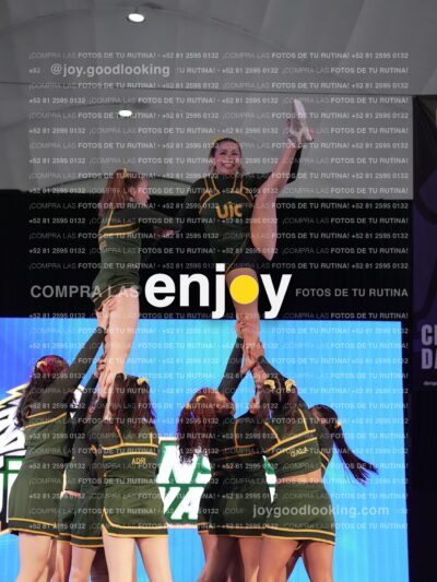 Uic0689