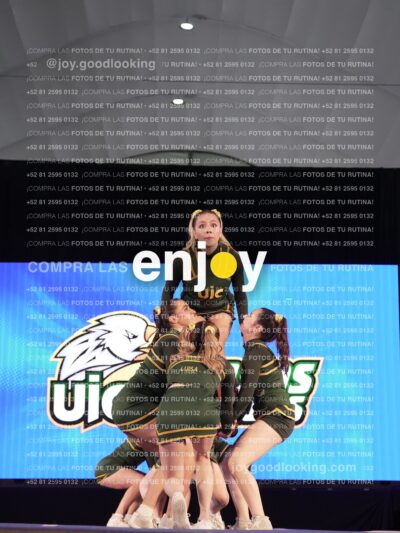 Uic0694