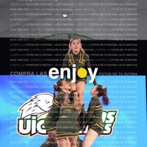 Uic0695