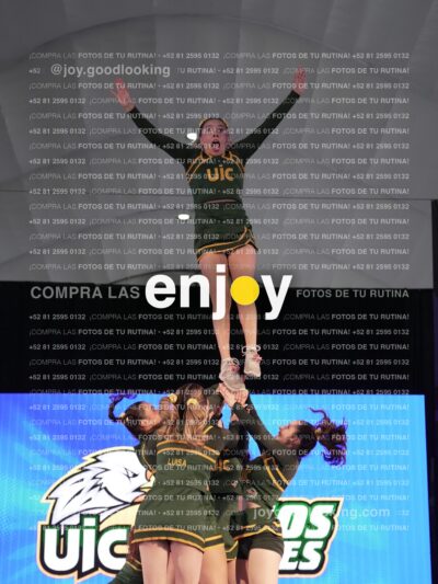 Uic0698