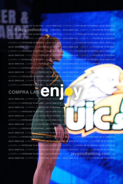 Uid0232