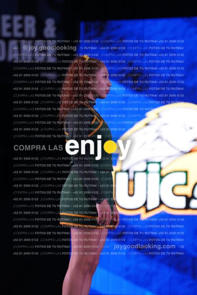 Uid0233