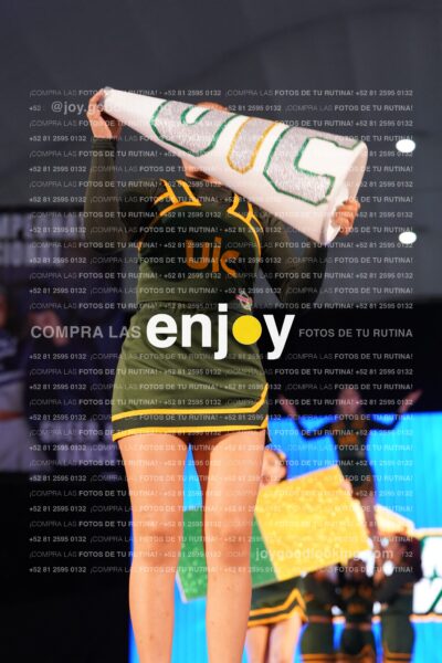 Uid0252