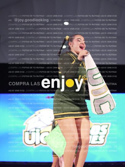 Uid0363