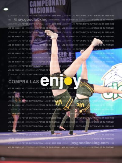 Uid0373