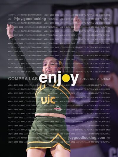 Uid0398