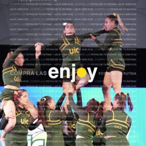 Uid0421