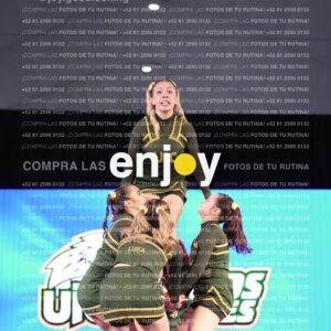 Uid0446