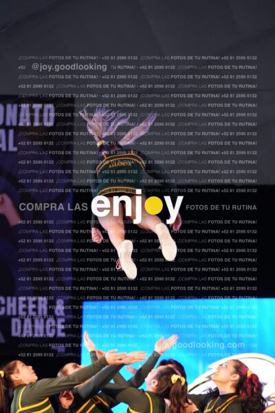 Uiq0113