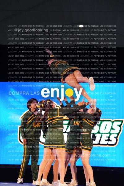 Uix0085