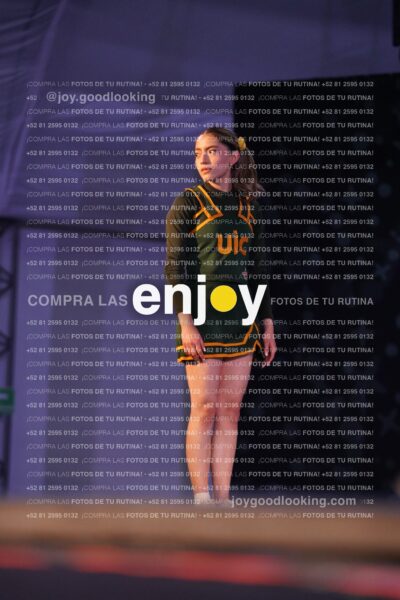 Uiy0278