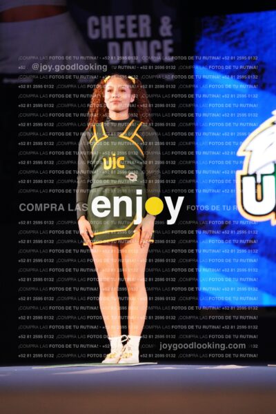 Uiy0279