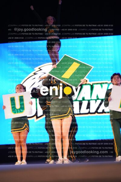 Uiy0289