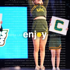 Uiy0293