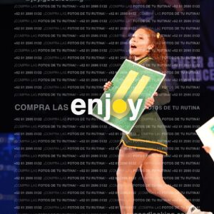 Uiy0299