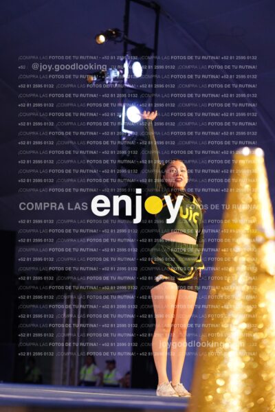 Uiy0343