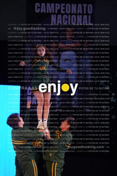 Uiy0356
