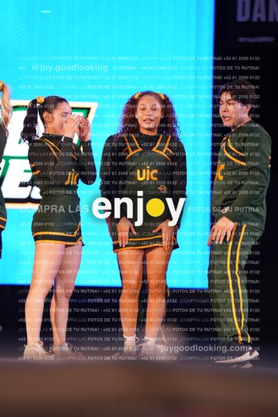 Uiy0373