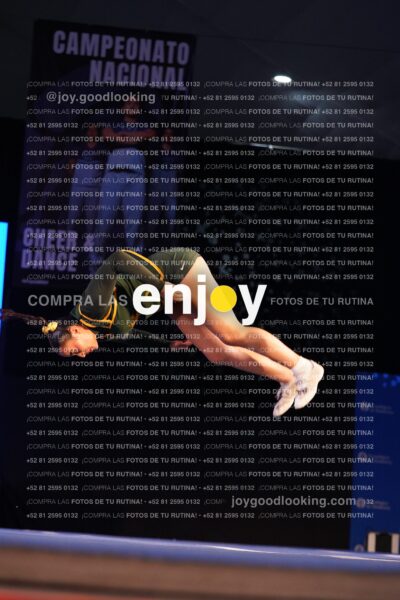 Uiy0386