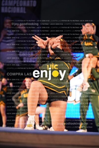 Uiy0409
