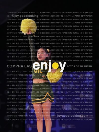 Uiy0433