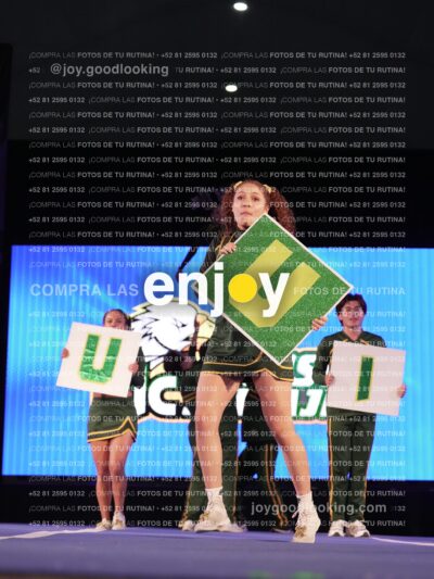 Uiy0443