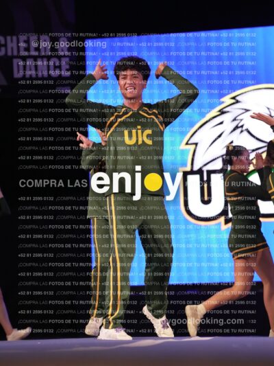 Uiy0484