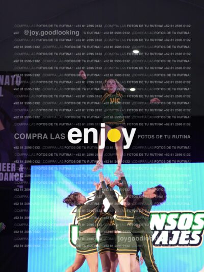 Uiy0503