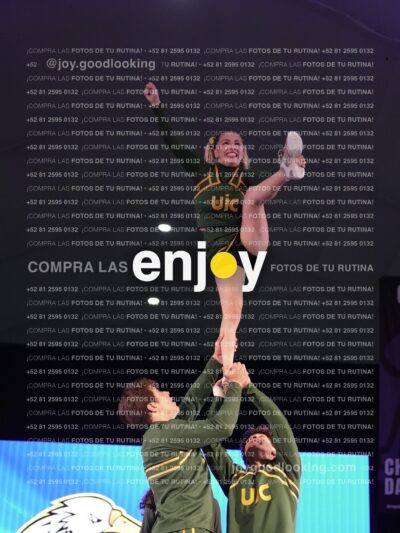 Uiy0539