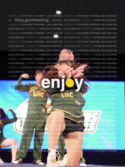 Uiy0542
