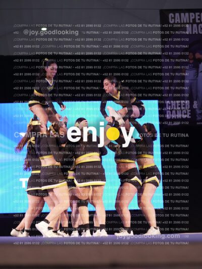 Umd0613