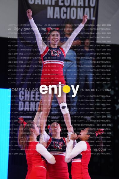 Upd0238 Copia (2)
