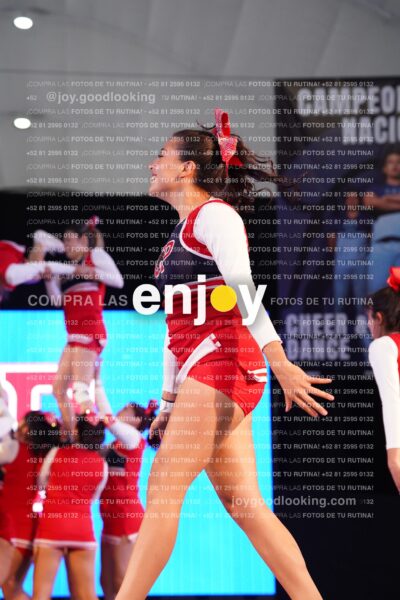 Upd0274   Copia (2)